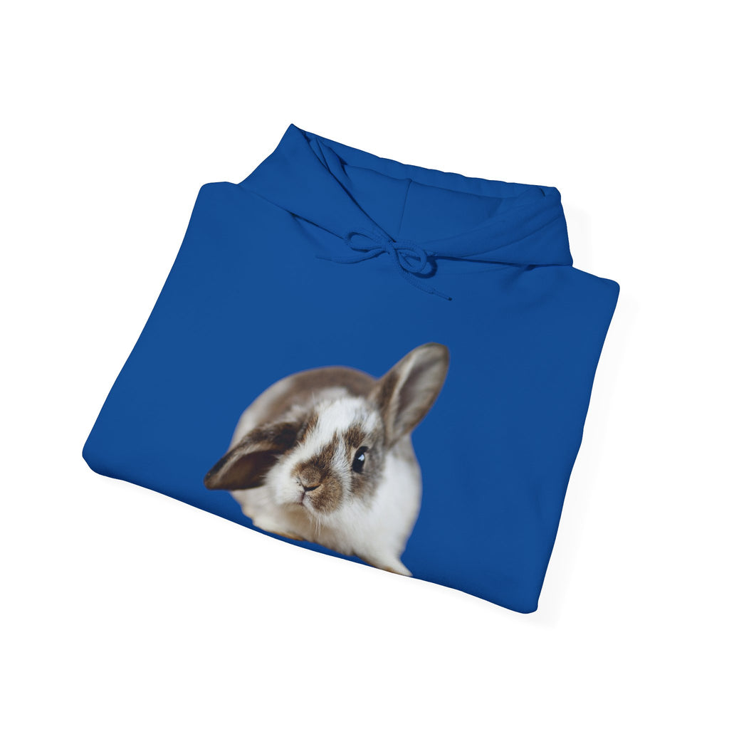 The Floppy Bunny Hoodie