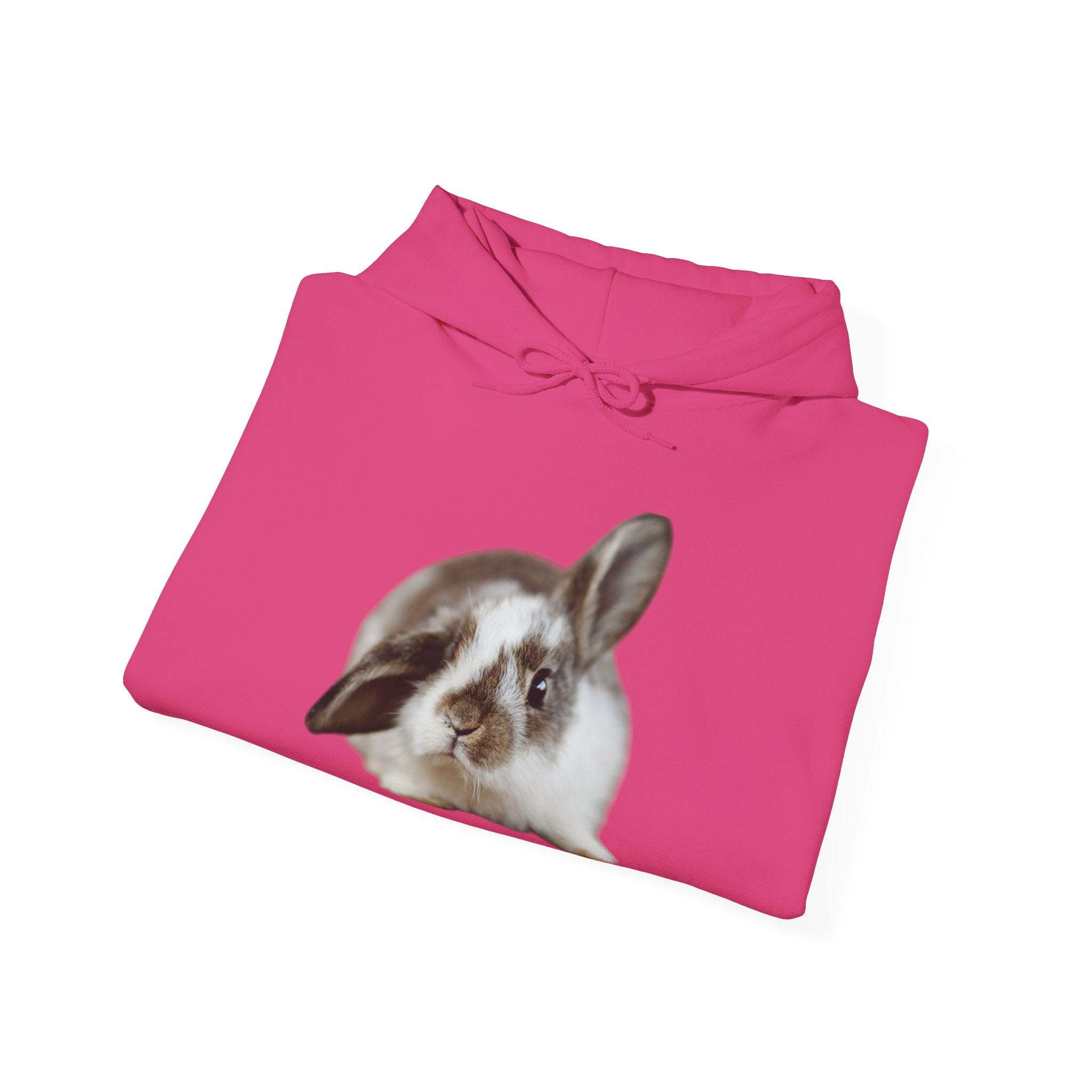 The Floppy Bunny Hoodie
