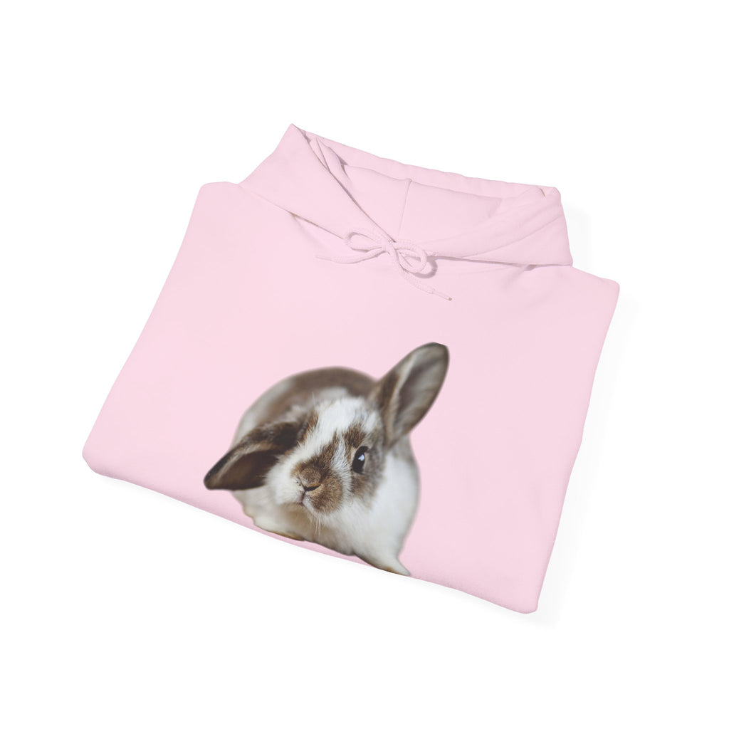 The Floppy Bunny Hoodie