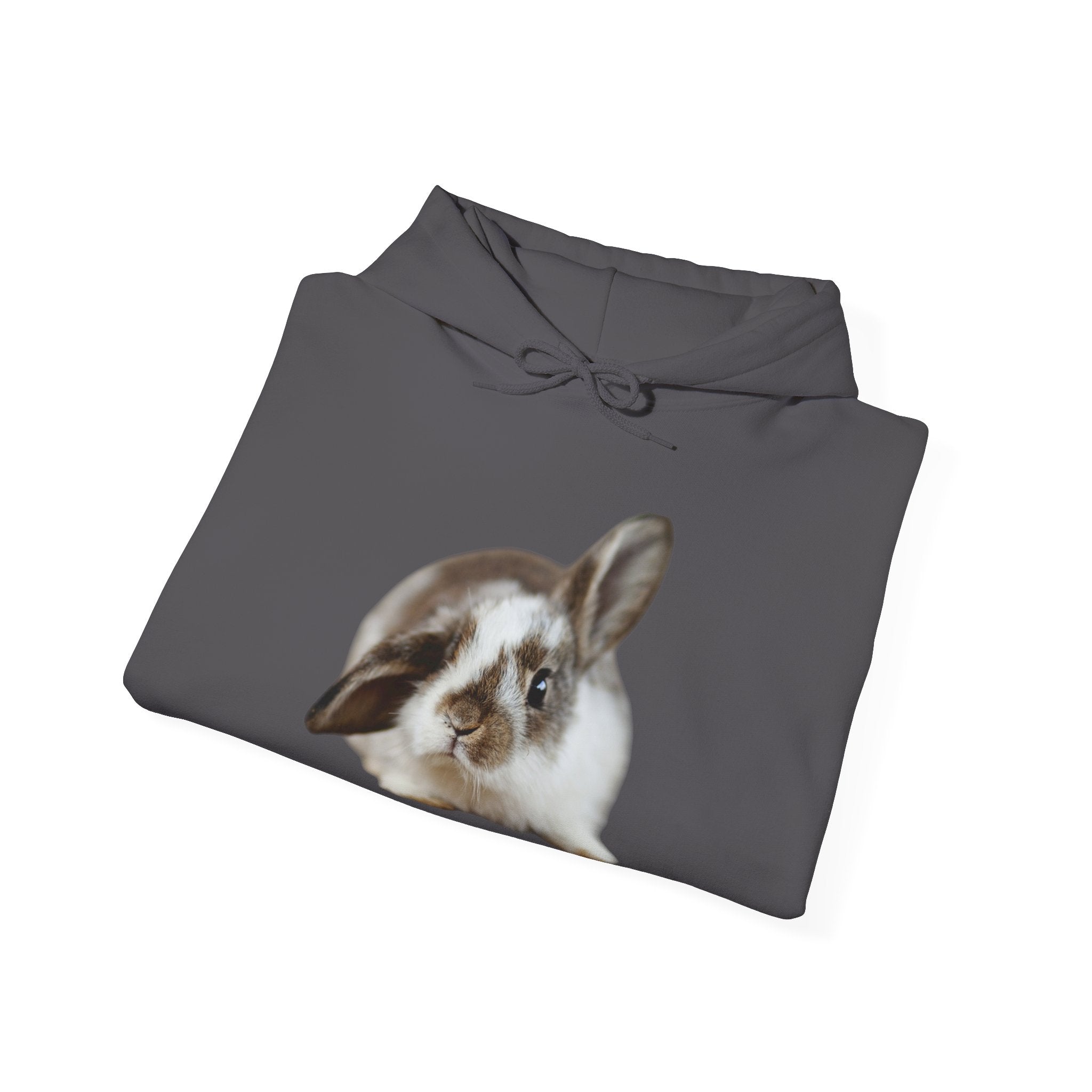 The Floppy Bunny Hoodie