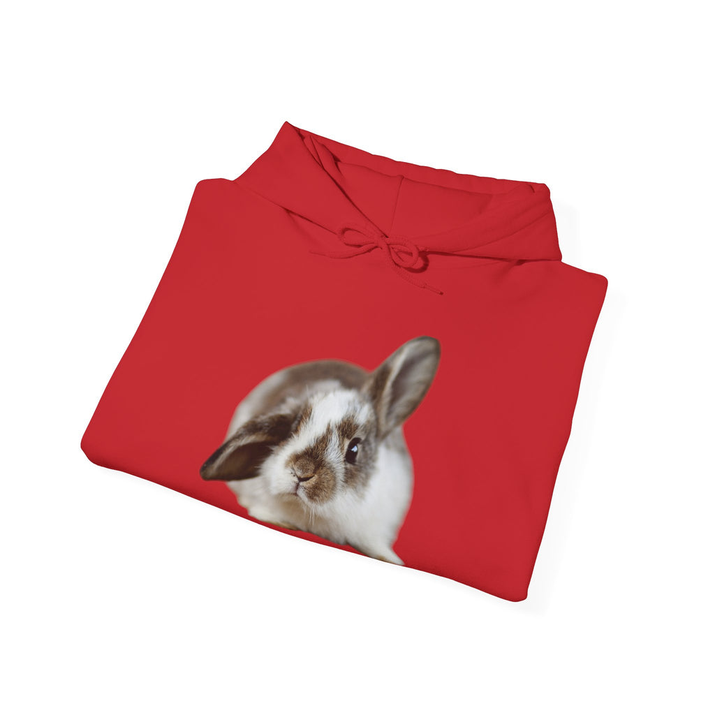 The Floppy Bunny Hoodie