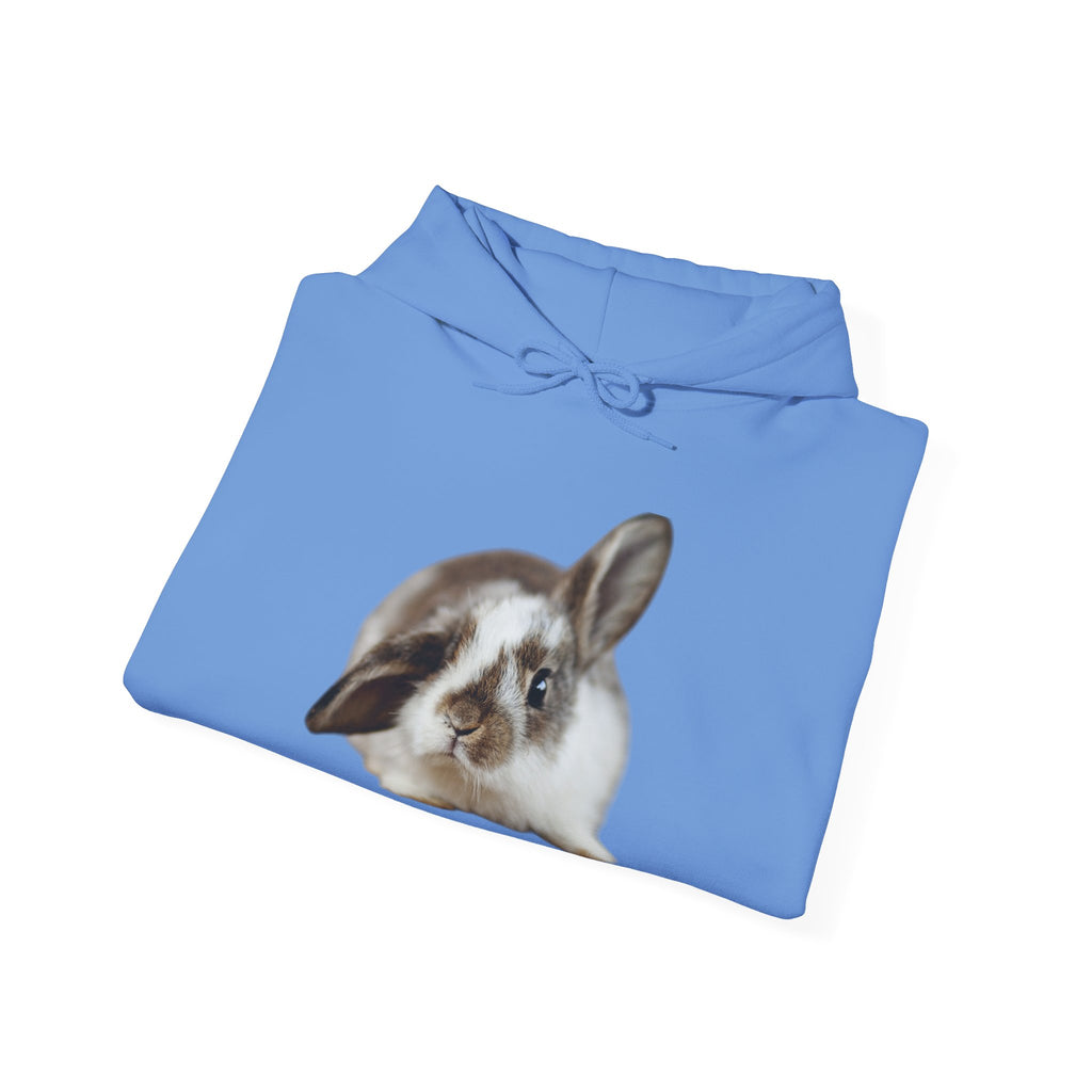 The Floppy Bunny Hoodie
