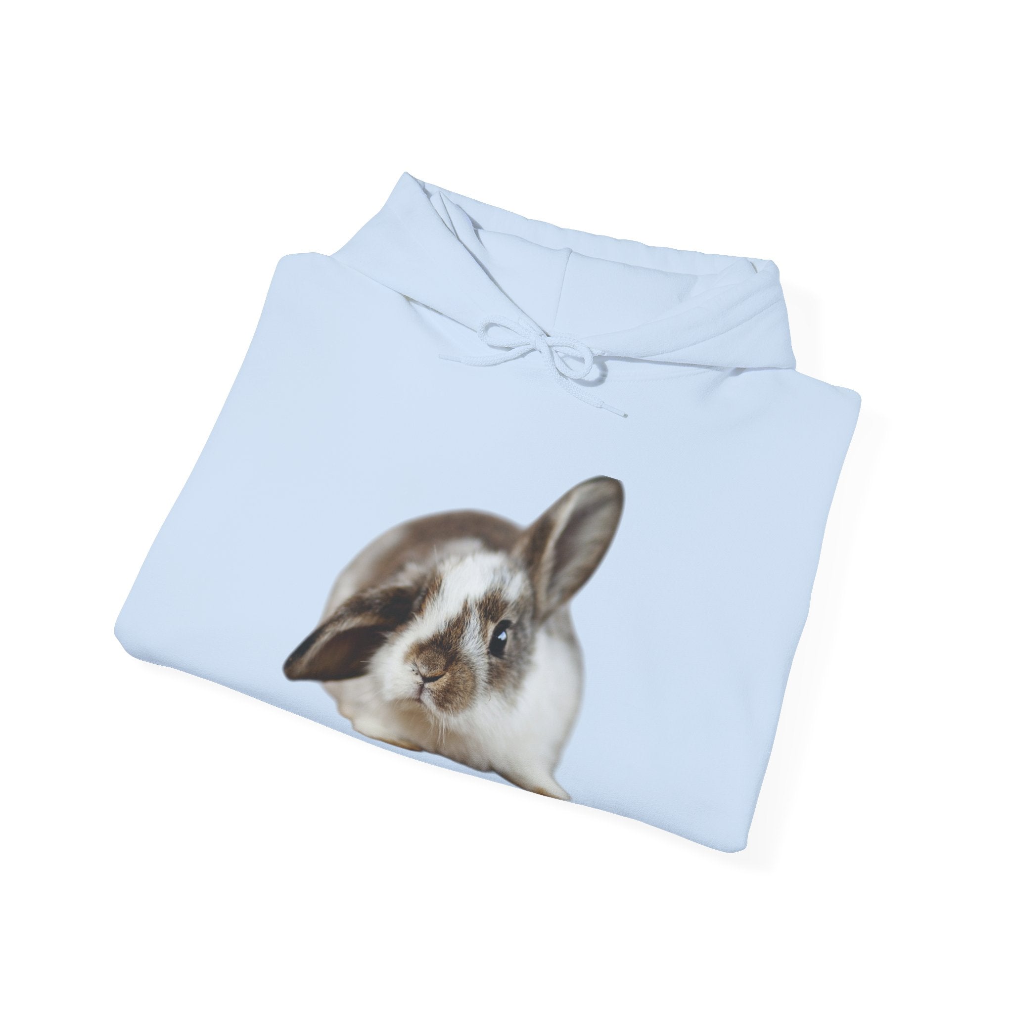 The Floppy Bunny Hoodie