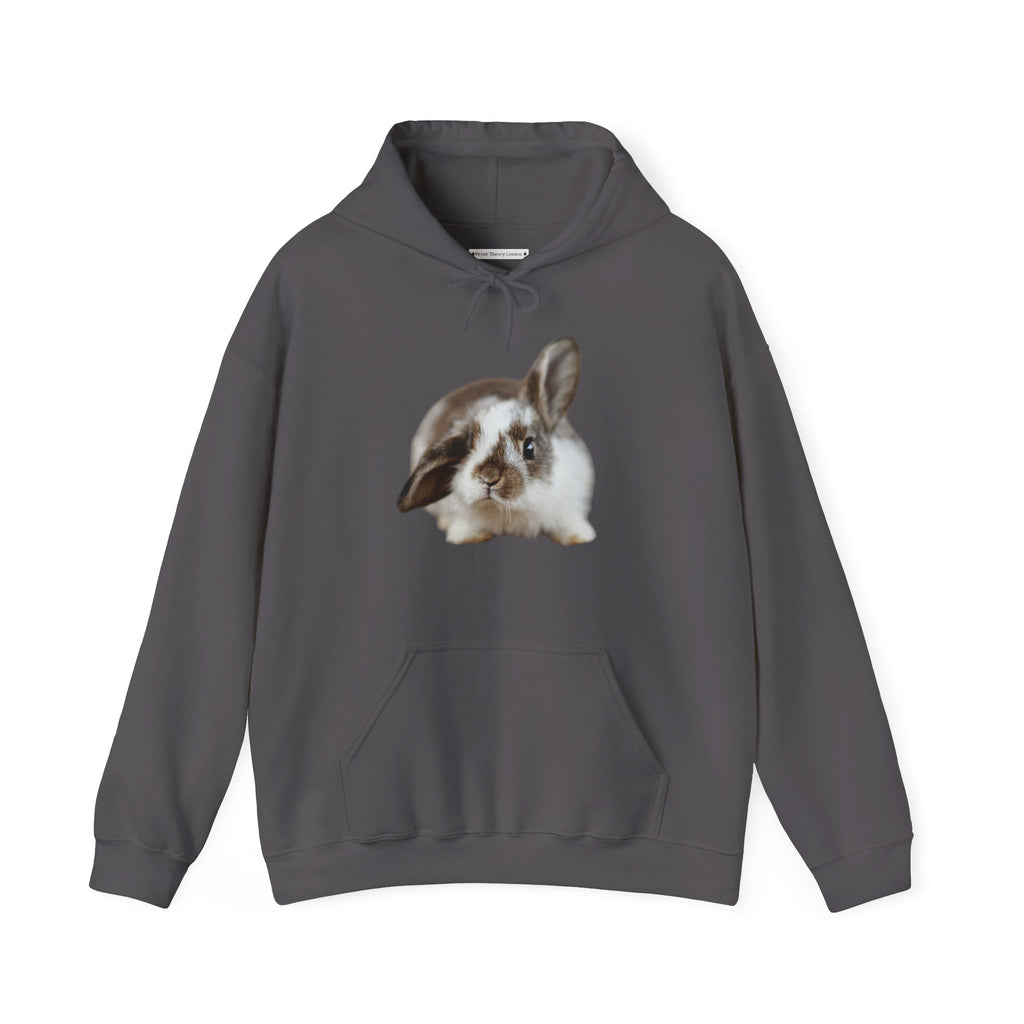 The Floppy Bunny Hoodie