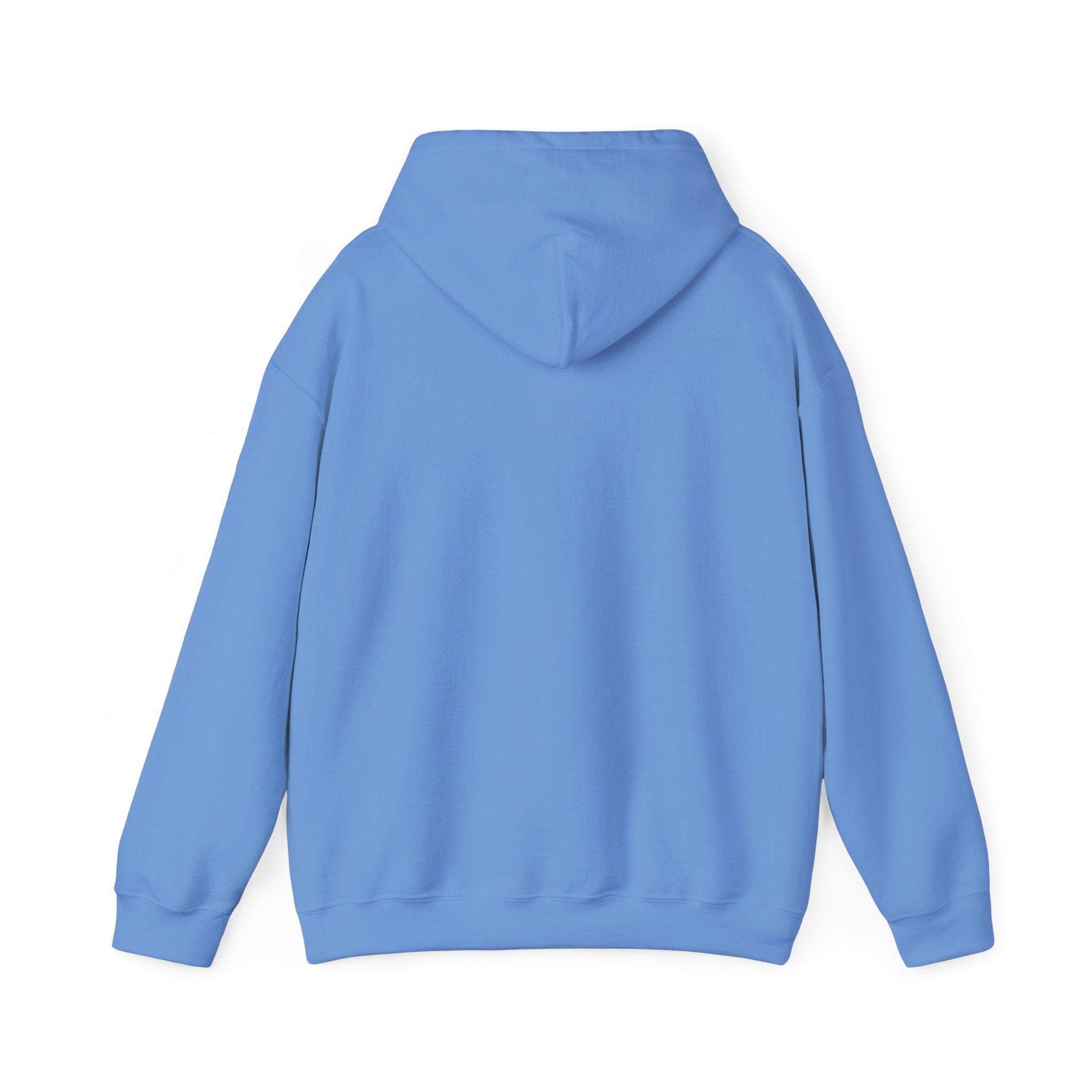 The Tiger Graphic Hoodie